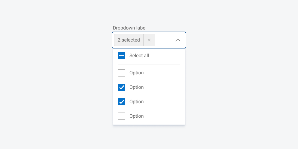 A dropdown with its menu expanded, showing two of the four placeholder options selected.